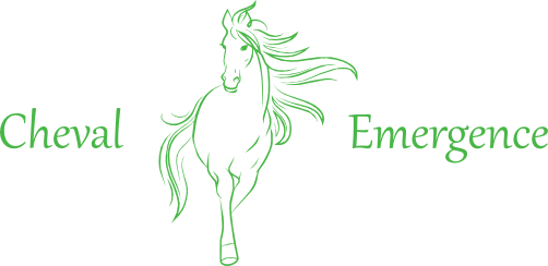 logo Cheval Emergence